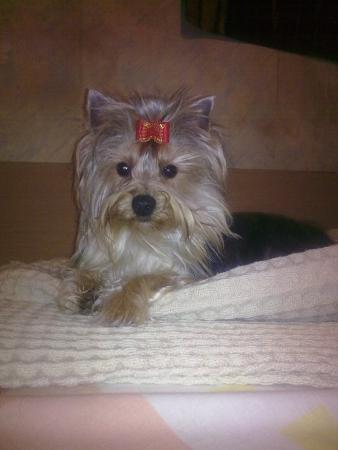 Прикачена снимка