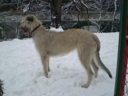 Прикачена снимка