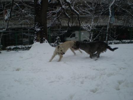 Прикачена снимка