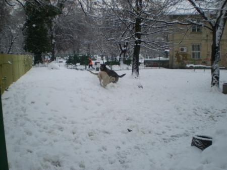 Прикачена снимка