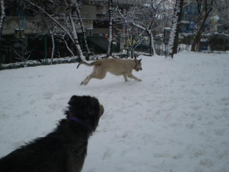 Прикачена снимка