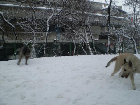 Прикачена снимка