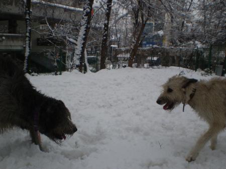 Прикачена снимка