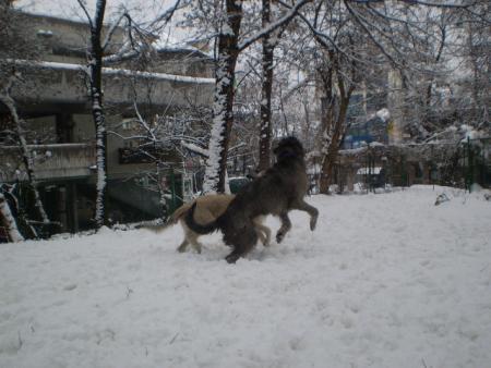 Прикачена снимка