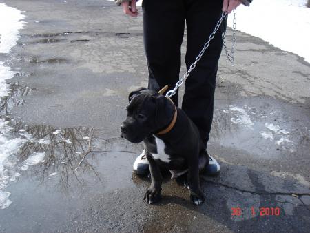 Прикачена снимка