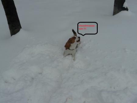 Прикачена снимка