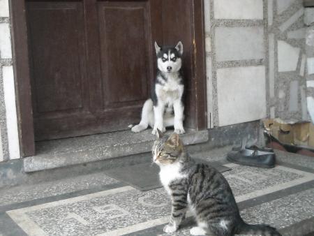 Прикачена снимка