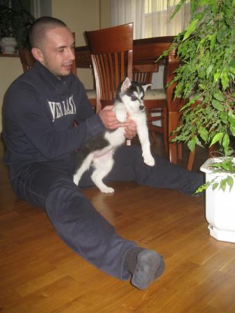 Прикачена снимка