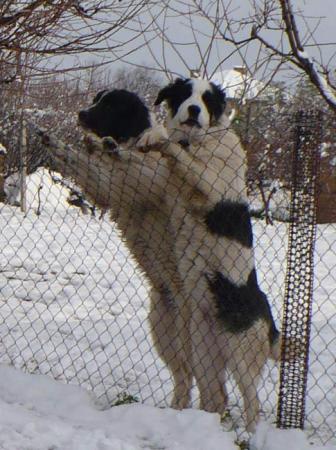 Прикачена снимка
