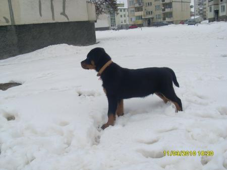 Прикачена снимка
