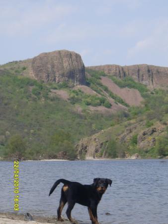 Прикачена снимка
