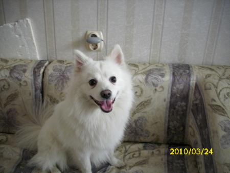 Прикачена снимка