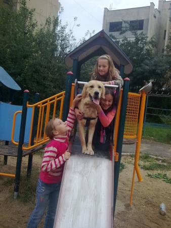 Прикачена снимка