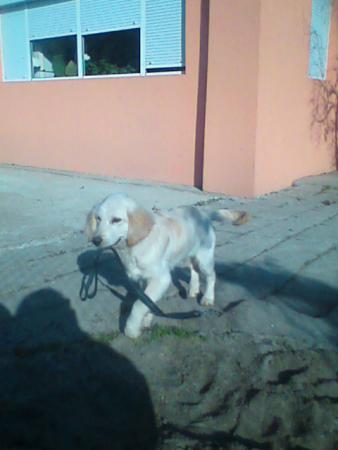 Прикачена снимка