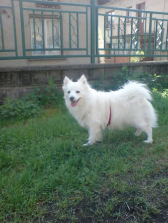Прикачена снимка