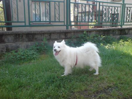 Прикачена снимка