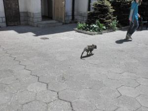 Прикачена снимка