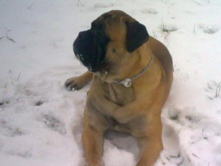 Прикачена снимка