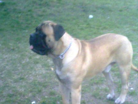 Прикачена снимка