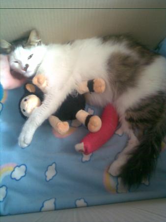 Прикачена снимка