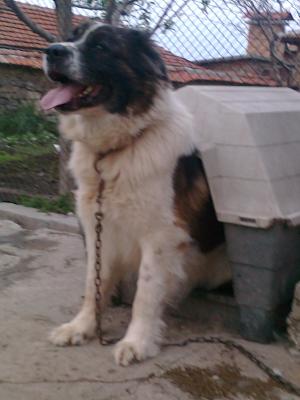 Прикачена снимка