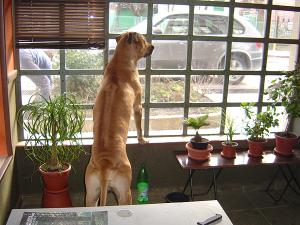 Прикачена снимка