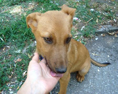 Прикачена снимка
