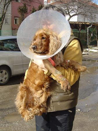 Прикачена снимка