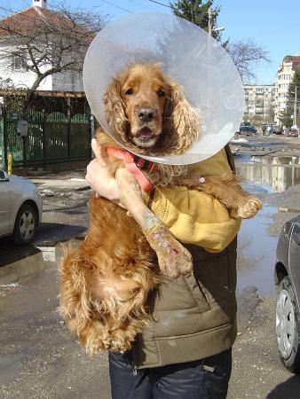 Прикачена снимка