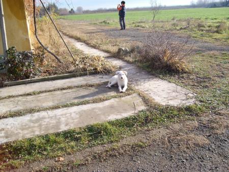 Прикачена снимка