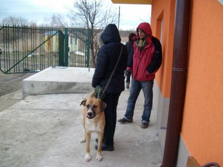 Прикачена снимка