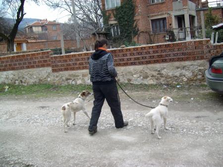 Прикачена снимка