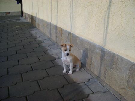 Прикачена снимка