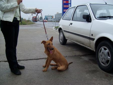 Прикачена снимка