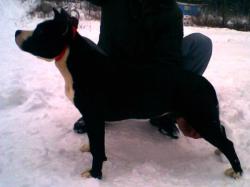 Прикачена снимка