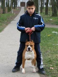 Прикачена снимка