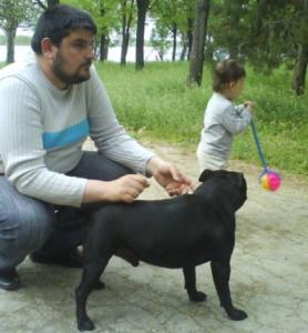 Прикачена снимка