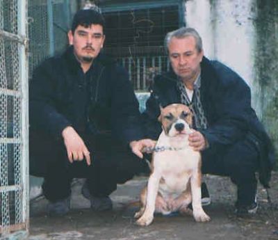 Прикачена снимка