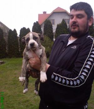 Прикачена снимка
