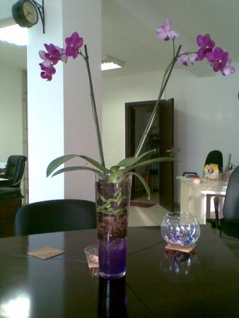 Прикачена снимка