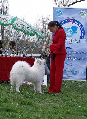 Прикачена снимка