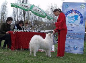 Прикачена снимка