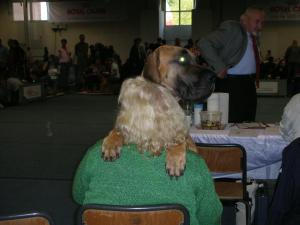 Прикачена снимка