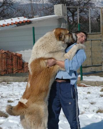 Прикачена снимка