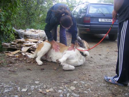 Прикачена снимка