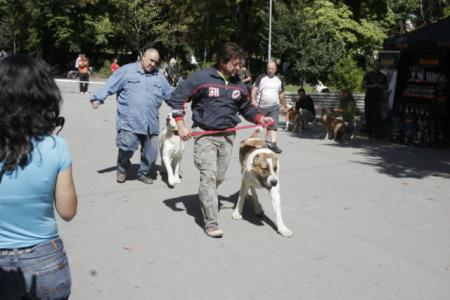 Прикачена снимка