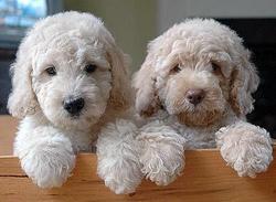 Прикачена снимка