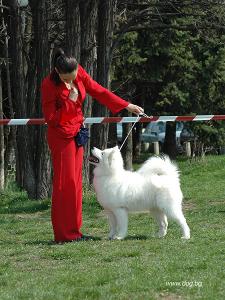 Прикачена снимка