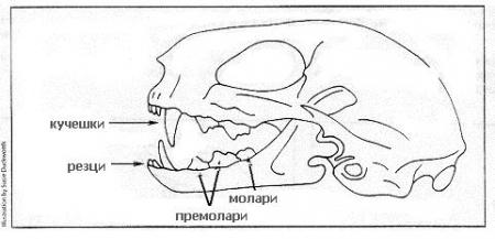 Прикачена снимка