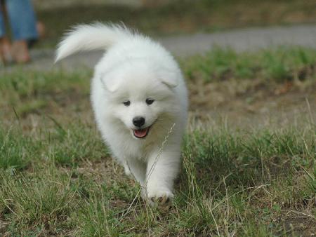 Прикачена снимка